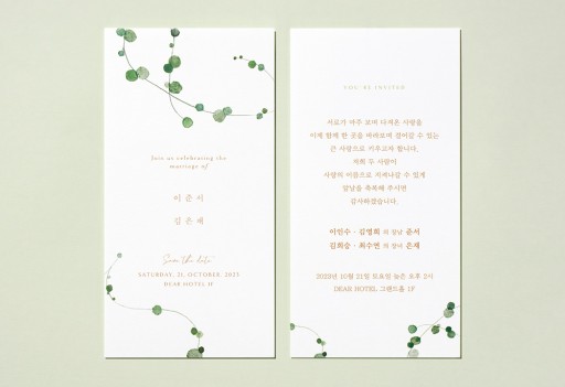 over 이미지