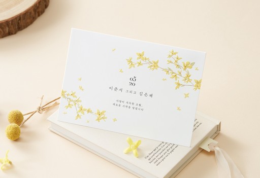 over 이미지